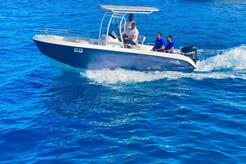 Hurghada: Dolphin House Speedboat Trip & Swim with Dolphins Group Dolphin Watching, Swimming and Snorkeling with Fruits