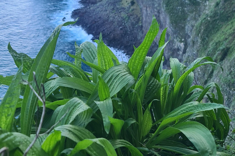 جولة يوم كامل في جزيرة ماديراجولة جزيرة ماديرا ليوم كامل