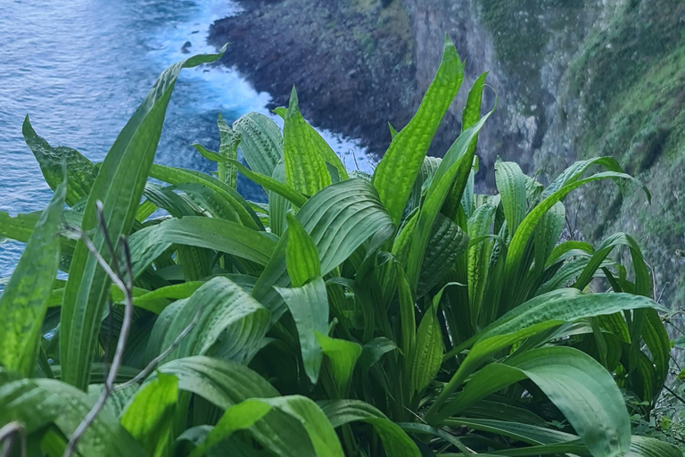 جولة يوم كامل في جزيرة ماديراجولة جزيرة ماديرا ليوم كامل