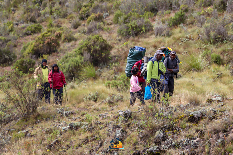 Mount Kenya: The Ultimate ChallengeClimbing Mount Kenya: The Ultimate Challenge