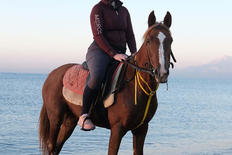 Antalya : équitation en bord de mer et dans la forêtAntalya : Balade à cheval en bord de mer et en forêt