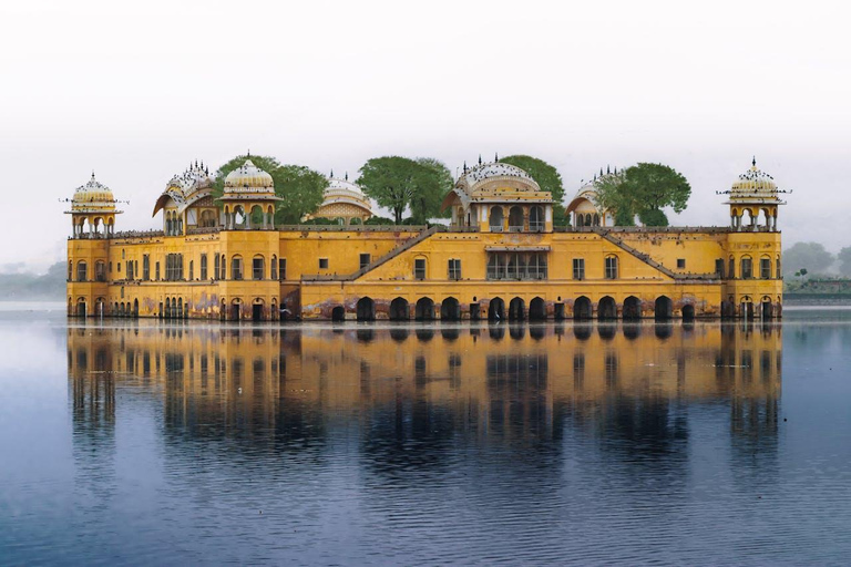 Jaipur: Half-Day Tour Amer Fort, Jal Mahal & Stepwell