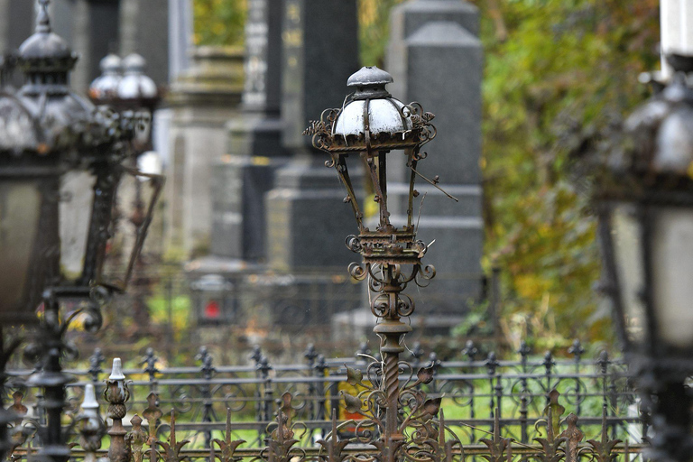 Vienna: Central Cemetery – Guided Tour Revealing Fascinating Secrets Vienna: Central Cemetery – Guided Tour with Fascinating Secrets