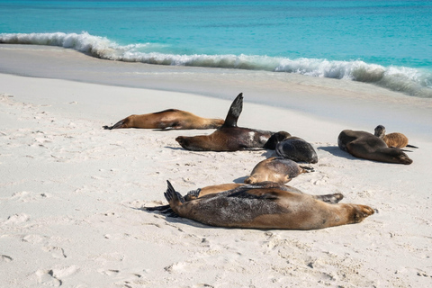 Galápagos: 5-Day Adventure on Isabela and Santa Cruz Islands