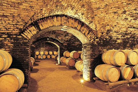 Concha y Toro Vineyard Premium Tour w/transportation