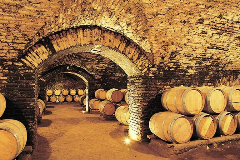 Concha y Toro Vineyard Premium Tour w/transportation