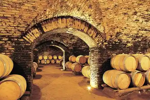 Santiago: Concha y Toro Vineyard Tour with Transfers