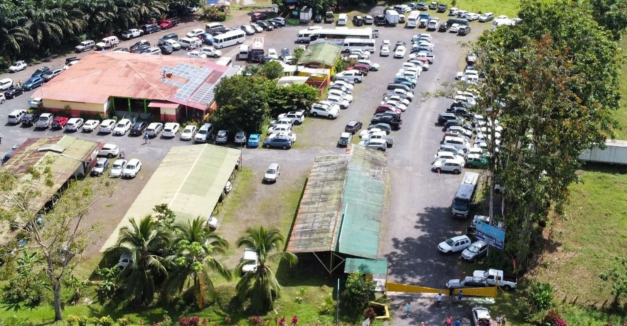 La Pavona, Shared Boat to Tortuguero Village - Housity