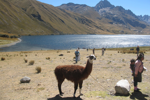 Huaraz: Viagem de 1 dia ao sítio arqueológico Chavin de Huantar