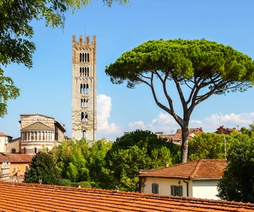 Lucca: Express Walk with a Local in 60 Minutes