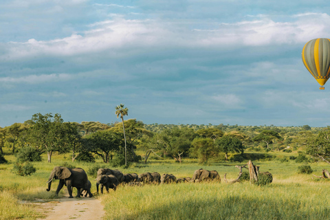 Day Trip to Tarangire National Park