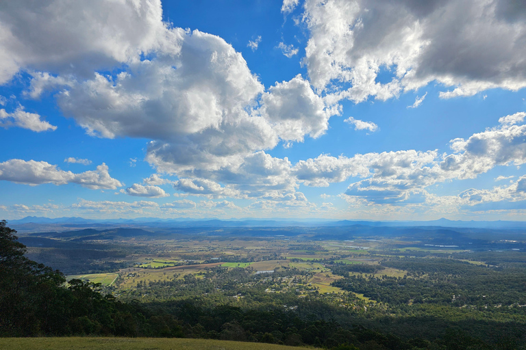 Partida de Gold Coast: Explora a excursão de um dia à Montanha Tamborine