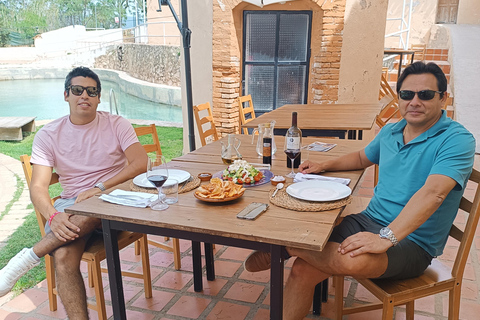Valencia: Utiel-Requena Wine Tour with Tapas and Wines
