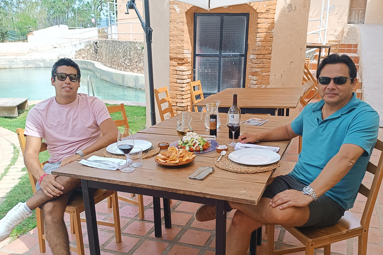 Valencia: Utiel-Requena Wine Tour with Tapas and Wines
