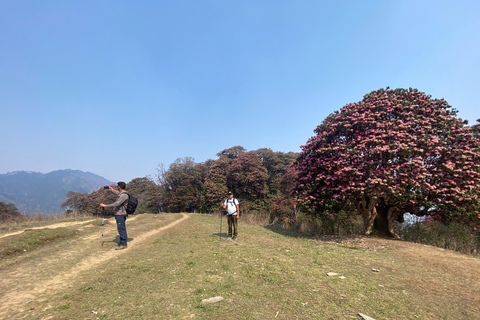 Odkryj Nepal: 12-dniowa wyprawa trekkingowa i dzika przyroda