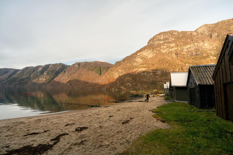 Private Stavanger city Highlights Driving tour