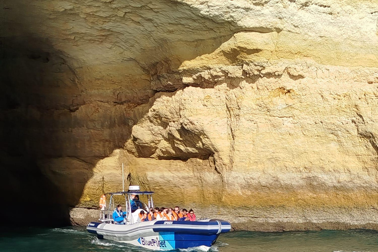 Combo: Benagil & Dolphins Boat Tour w/ Marine Biologists