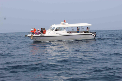 Croisière côtière et au coucher du soleil à Mascate