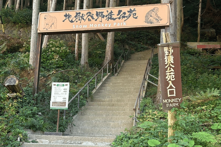 Nagano/Tokyo: Snow Monkey Private Day Tour At Lowest Rate