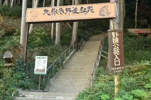 Nagano/Tóquio: Excursão particular de um dia ao macaco da neve ao preço mais baixo