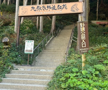Nagano/Tokyo: Snow Monkey Private Day Tour At Lowest Rate