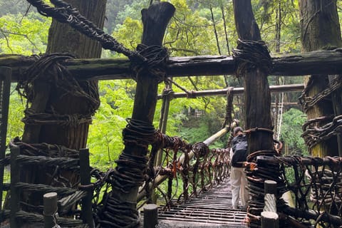 From Kochi Port: Private Tour - Iya Valley & Oboke Gorge - Image 2