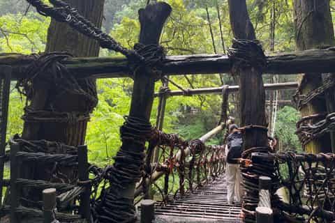 From Kochi Port: Private Tour - Iya Valley & Oboke Gorge - Image 3