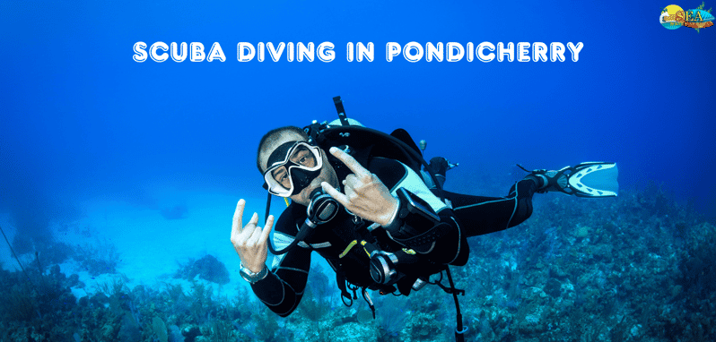Scuba Diving In Pondicherry