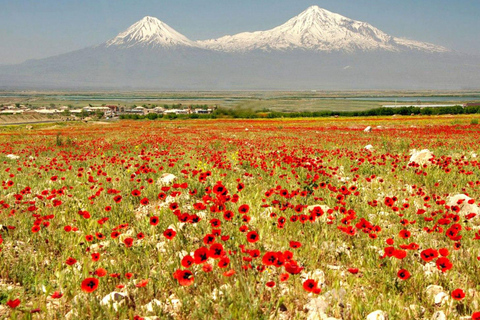 Tour from Yerevan: Khor Virap, Birds cave, Noravank, Jermuk Khor Virap, Birds cave, Noravank, Jermuk (without guide)
