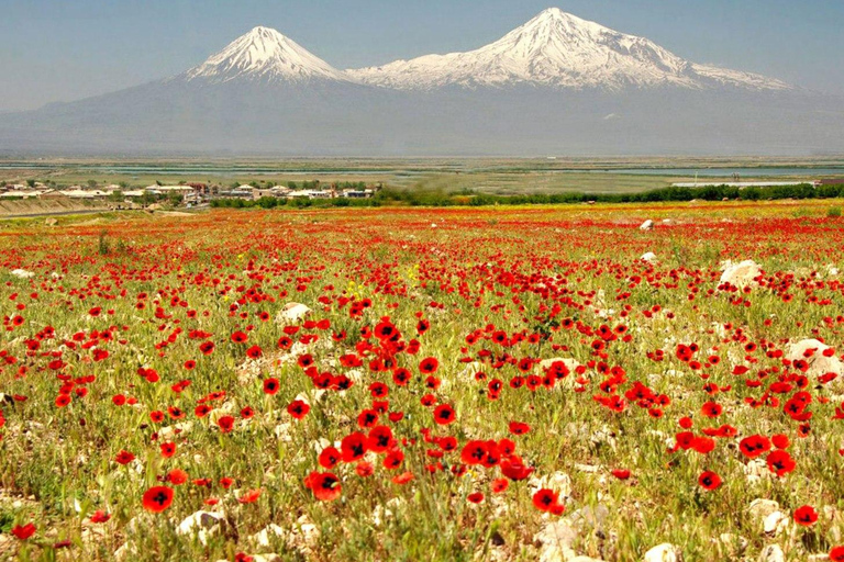 Tour from Yerevan: Khor Virap, Birds cave, Noravank, Jermuk Khor Virap, Birds cave, Noravank, Jermuk (without guide)