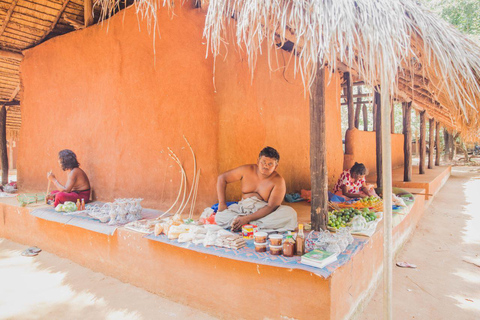 Polonnaruwa: Waterfalls, Village, Vedda Tour & Kandy Drop