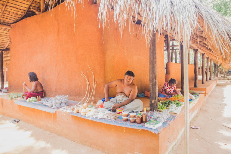 Polonnaruwa: Waterfalls, Village, Vedda Tour & Kandy Drop