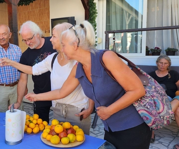 Ulcinj: Clase de cocina + Cena incluida Experiencia local
