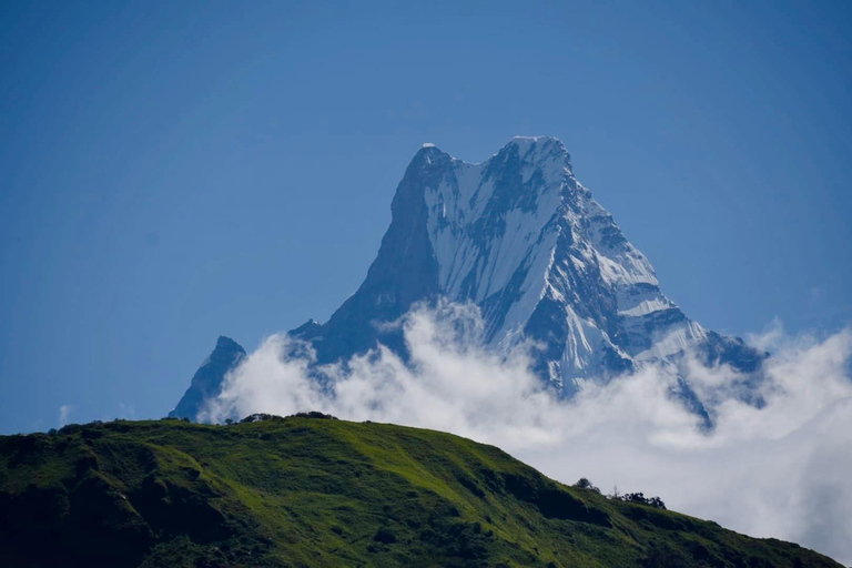 Pokhara: 7 Day Annapurna Base Camp Trek with Wildlife Tour