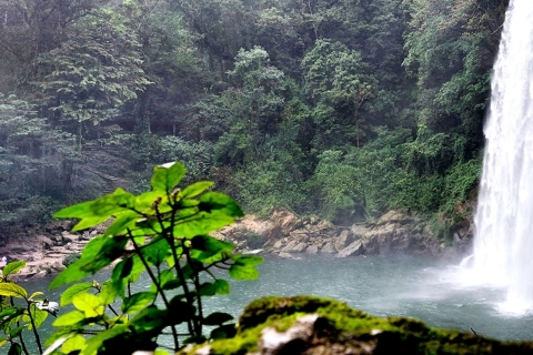 Von Ocosingo aus: Palenque, Misol-ha und Agua Azul Private Tour