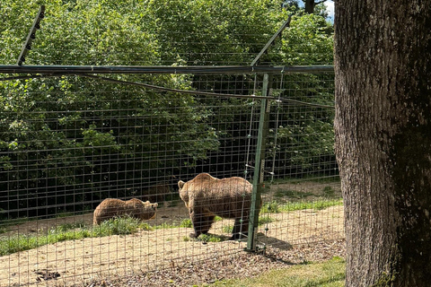 From Brasov: Bear Sanctuary & Slanic Salt Mine + Tickets Slănic Salt Mine Only