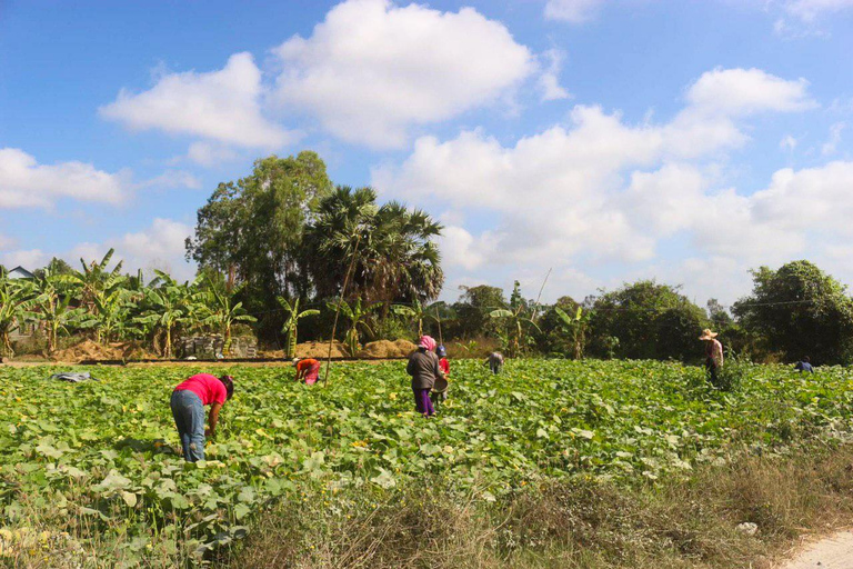 Phnom Penh: Quad Bike Tour with Choeung Ek Genocidal Centre