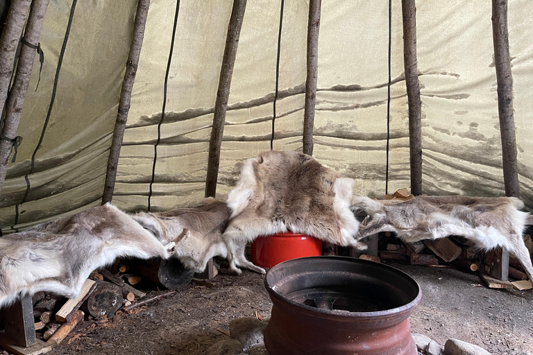 Rovaniemi: Excursión Guiada por las Cascadas Heladas del Cañón Korouoma