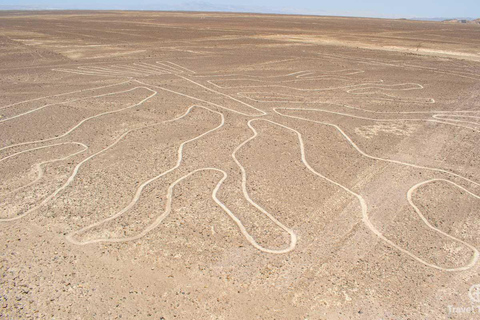 Bus Huacachina (ICA) - Nazca. UN SEUL VOYAGE