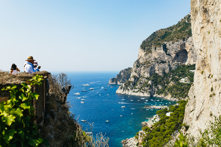 From Sorrento: Capri Guided Boat Tour &amp; Ieranto Natural ParkTour with Pickup