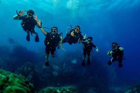 Ko Tao: Try Scuba Diving 1-Day Experience
