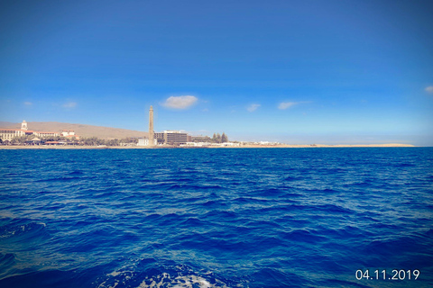 Sud de Grande Canarie : croisière de luxe en yacht en petit groupeCroisière en groupe de 4 heures l'après-midi