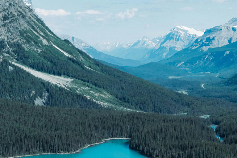 Private Tour: Lake Louise, Moraine, Peyto & Johnston Canyon