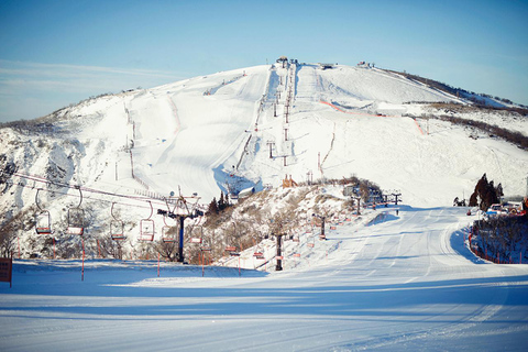 From Osaka: Biwako Valley Ski Resort Day Tour