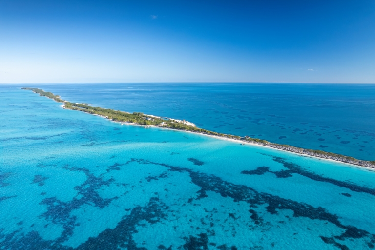 Nassau: Pływaj z żółwiami 4-godzinna wycieczka łodzią po wyspie RoseWycieczka grupowa