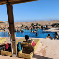 Pase del día del desierto de agafay, acceso a la piscina, entretenimiento de lanzamiento-vida - Housity