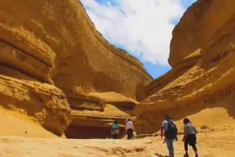 Depuis Ica || Excursion d&#039;une journée dans le canyon de Los Perdidos ||