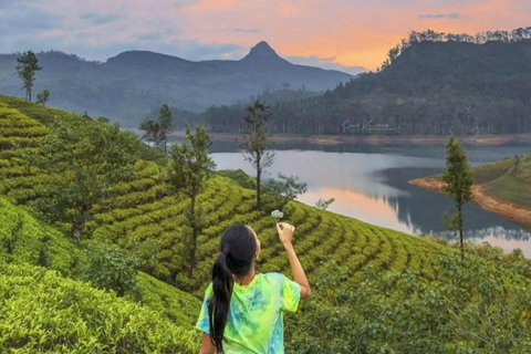 Kandy: Nuwara Eliya, Ambewela Drop Tour & Ella Train journey Kandy: Nuwara Eliya, Ambewela Drop Tour by car or van
