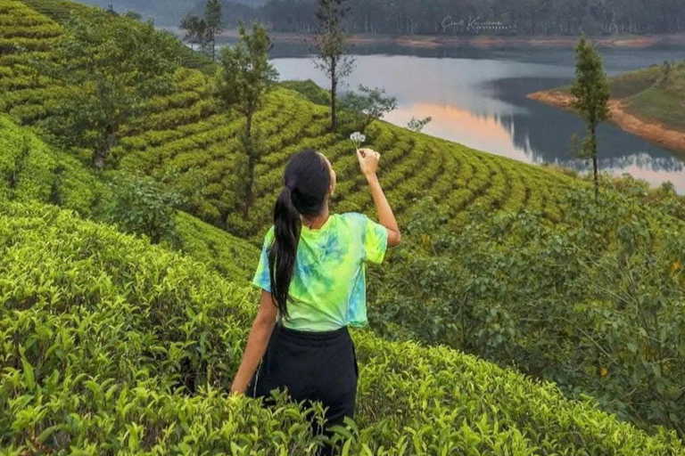 Kandy: Nuwara Eliya, Ambewela Drop Tour & Ella Train journey Kandy: Nuwara Eliya, Ambewela Drop Tour by car or van