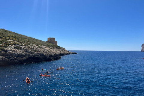 Gozo Kayak Tours